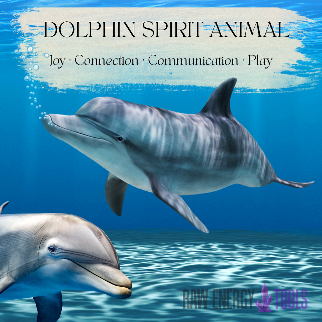 Dolphin Spirit Animal Meaning: Joy, Connection & the Wisdom of the Sea