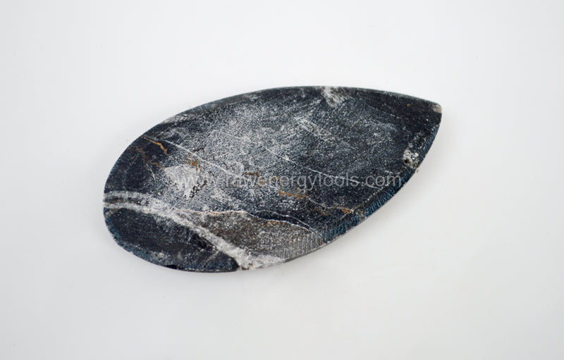 ORTHOCERAS: THE ANCIENT SEA CREATURE HIDING IN YOUR FOSSIL