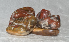 Petrified Wood - Raw Energy Tools
