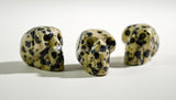 Dalmatian Stone Skull
