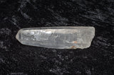 Lemurian Seed - Raw Energy Tools