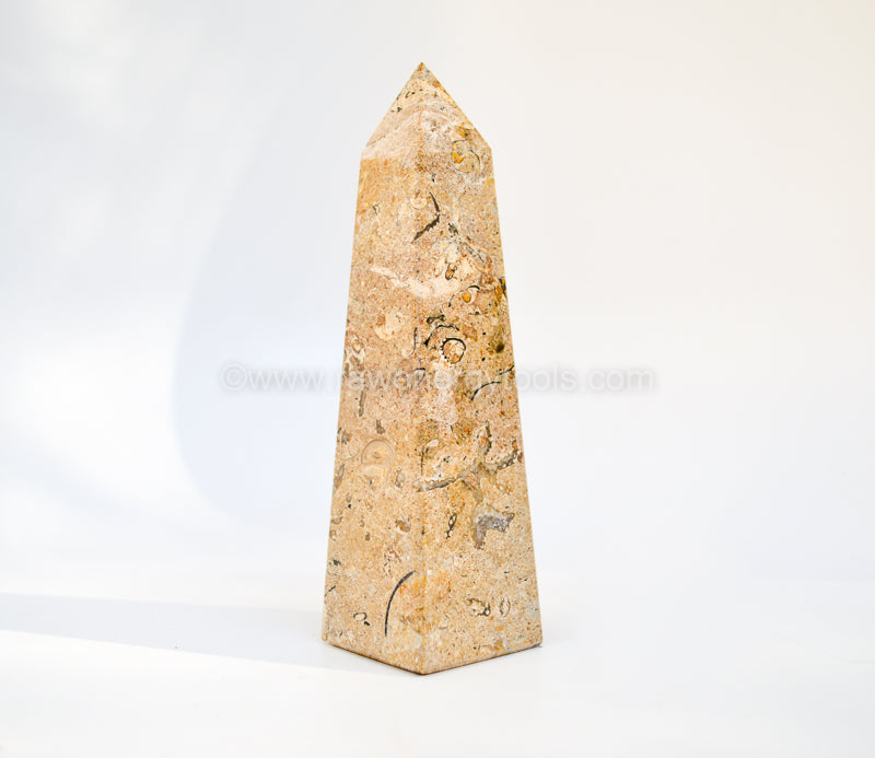 Fossil Stone Obelisk