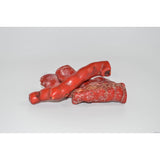 Red Coral - Raw Energy Tools