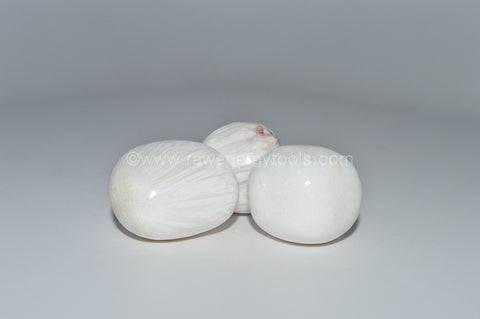 Scolecite